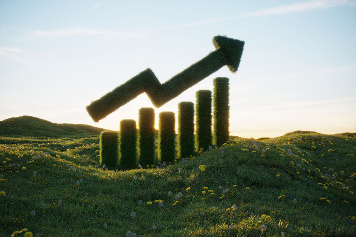 A conceptual image showing a bar graph and an upward arrow made of hedges in a grassy field, illuminated by sunlight.